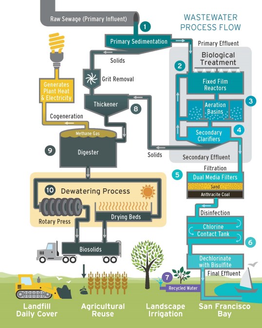 Treatment Graphic alone
