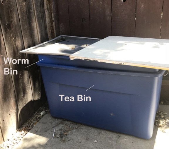 bin.jpg
