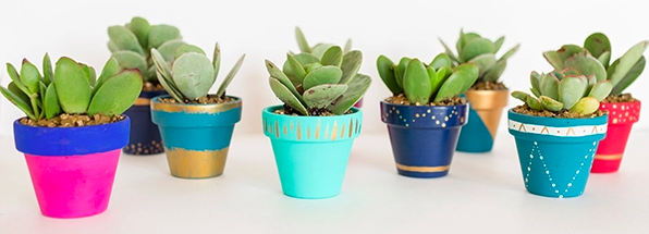 Screen Shot 2018-07-24 at 11.53.40 AM