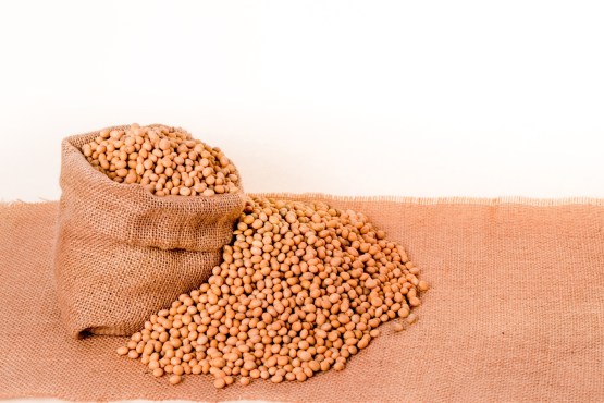 soybeans-plants-seeds-bag-burlap-grain-1370702-pxhere.com.jpg