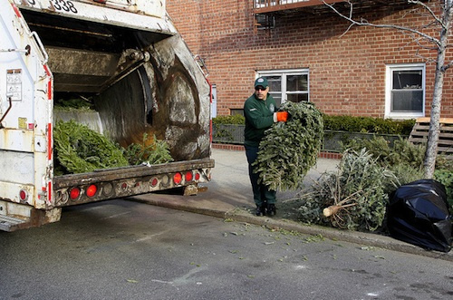 dsny-christmas-tree-collection-curbside