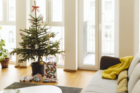 gallery-1481060948-modern-loft-living-room-with-potted-blue-spruce-christmas-tree.jpg