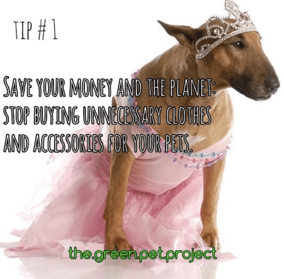 Screen Shot 2019-04-22 at 4.00.04 PM.png