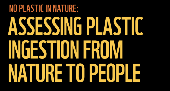 Screen Shot 2019-08-16 at 3.31.28 PM.png