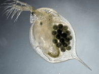 Screen Shot 2019-09-26 at 8.16.15 AM.png