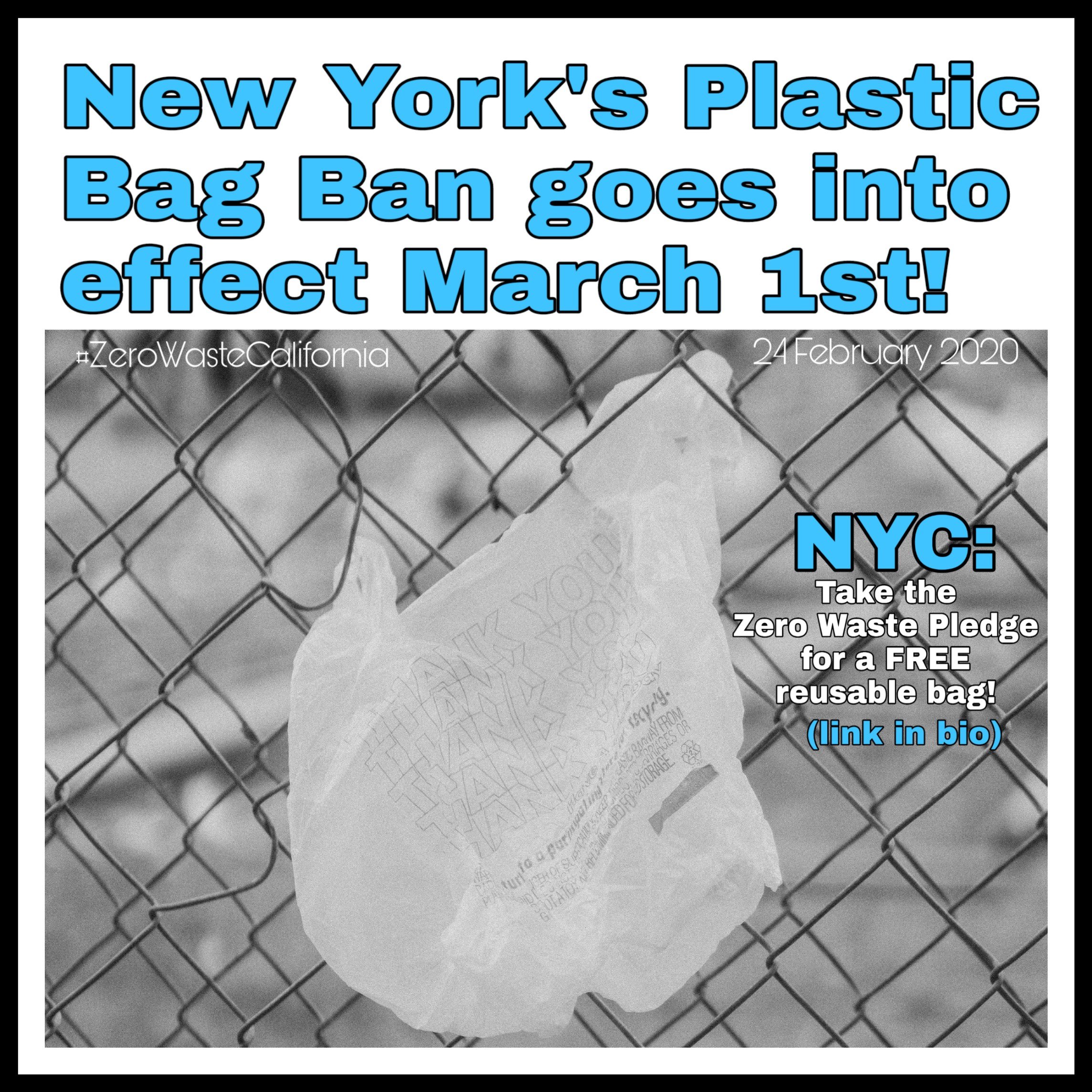 March 1st: New York will become the 9th state to ban bags – Zero Waste ...
