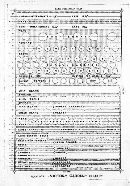 c899480d0af082693309a8f2e3f4b5e1