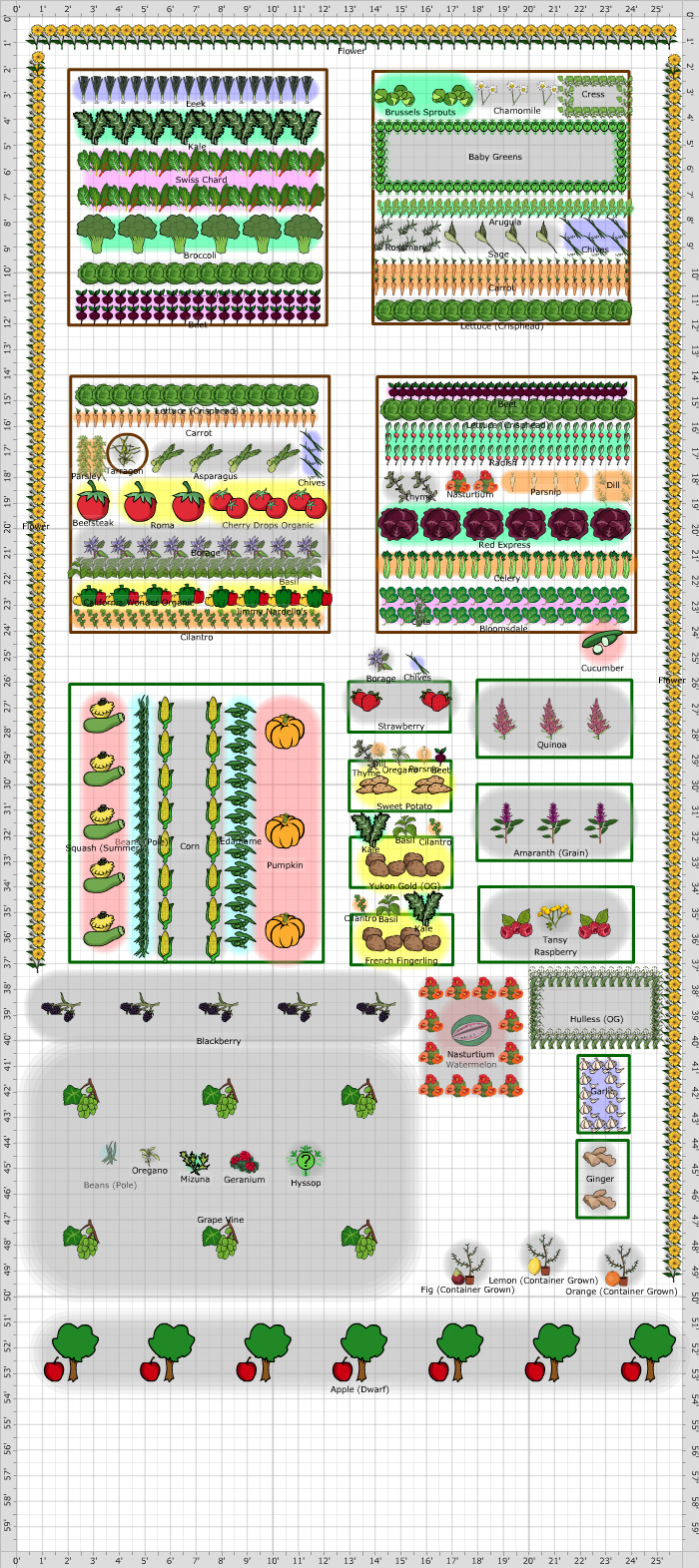 Image showcasing Zero Waste Guide to Companion Planting - Zero Waste California