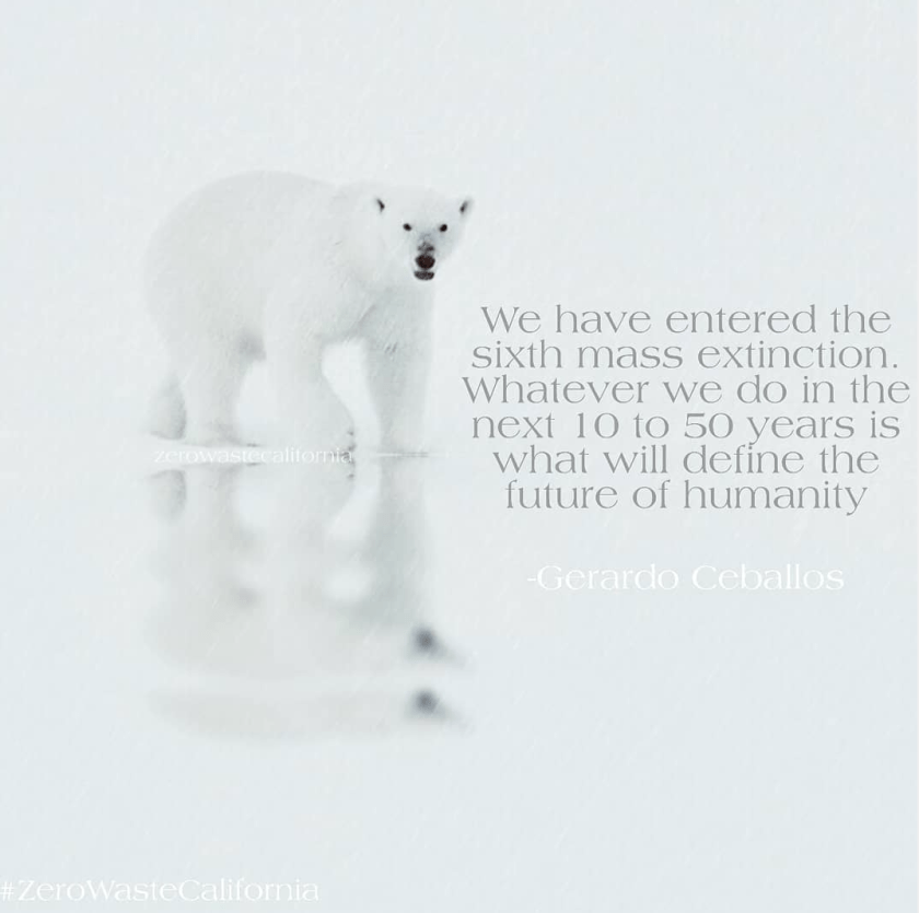 Screen Shot 2020-06-08 at 8.01.49 PM