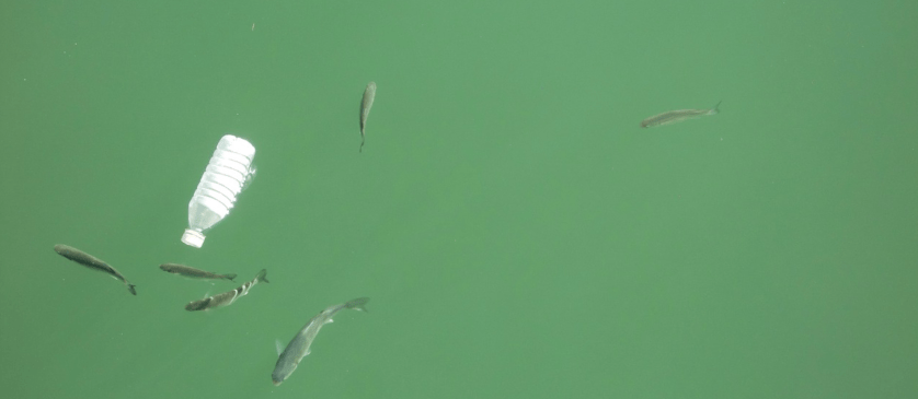 Screen Shot 2020-07-05 at 9.40.17 PM