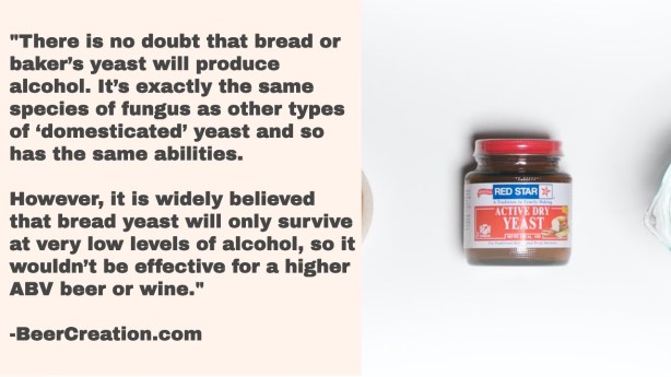 Untitled Design (21)